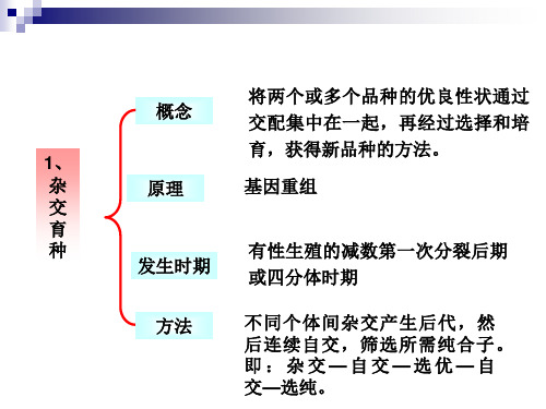 几种育种方式的比较改