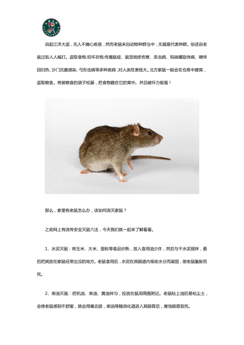 家里有害虫老鼠危害怎么办？