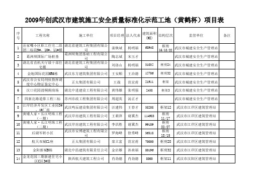 2009年创市建筑施工安全质量标准化示范工地(黄鹤杯)项目表