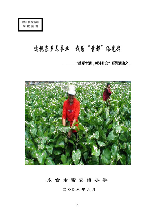 透视家长养蚕业我为“茧都”添光彩