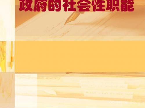 政府的社会性职能(ppt38张)