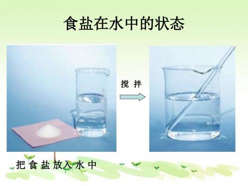 教科小学科学四上《2.2、物质在水中是怎样溶解的》PPT课件(3)