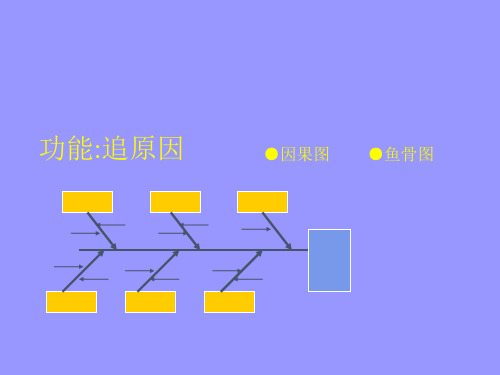 因果图、鱼骨图案例