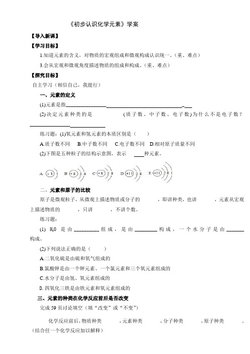 2020-2021学年京改版(2013)初中化学九年级上册5.1初步认识化学元素导学案