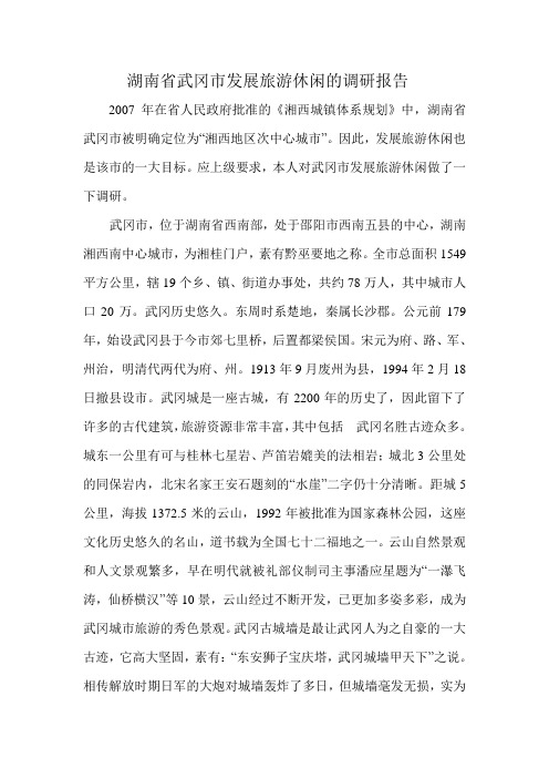 湖南省武冈市发展旅游休闲的调研报告