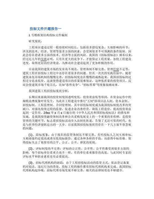 投标文件开题报告