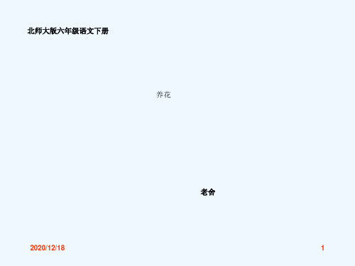 语文六年级下北师大版1养花课件