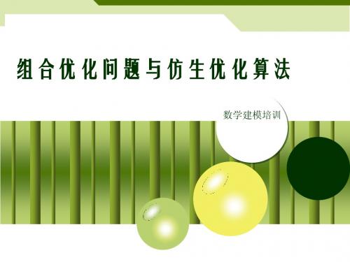 组合优化问题与现代优化算法