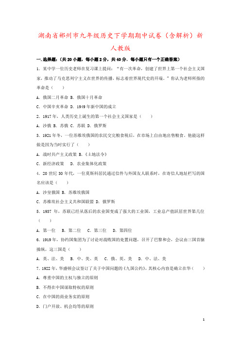 湖南省郴州市九年级历史下学期期中试卷(含解析)新人教版