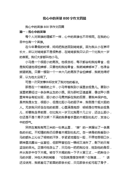 我心中的英雄800字作文四篇