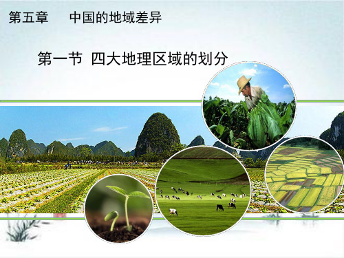 湘教版地理八下第五章第一节《四大地理区域的划分》课件(共22张PPT)