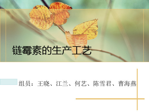 链霉素的生产工艺课件.pptx
