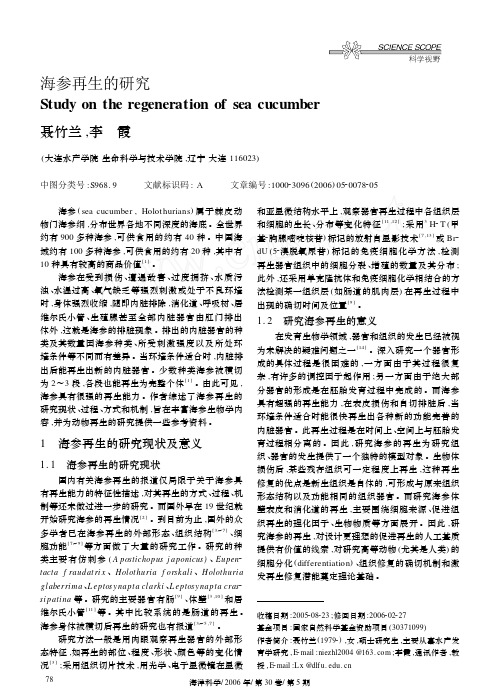 海参再生的研究