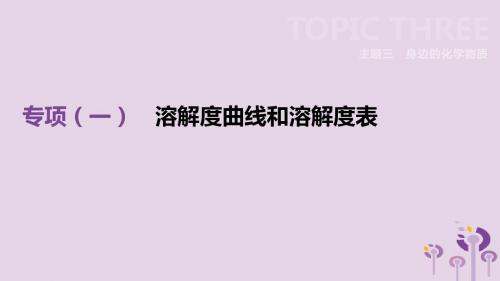 北京市中考化学总复习专项01溶解度曲线和溶解度表课件