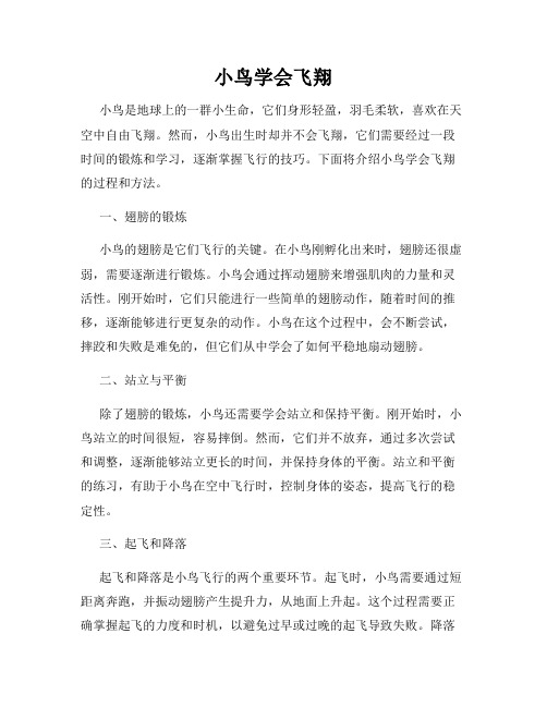 小鸟学会飞翔