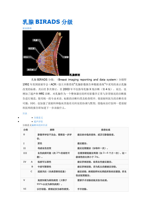 乳腺BIRADS分级