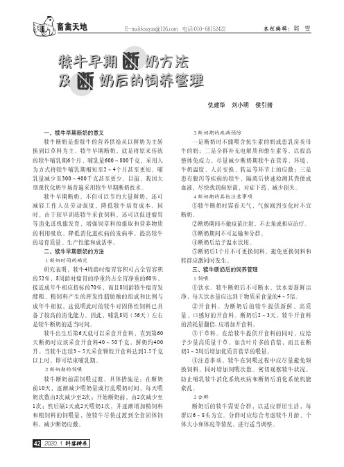 犊牛早期断奶方法及断奶后的饲养管理