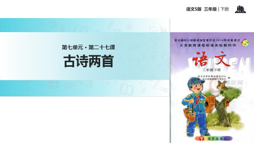 三年级下册语文课件27古诗两首∣语文S版 (共18张PPT)