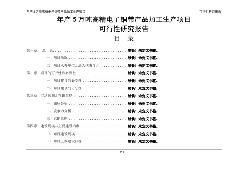 年产5万吨高精电子铜带产品加工生产项目可行性研究报告