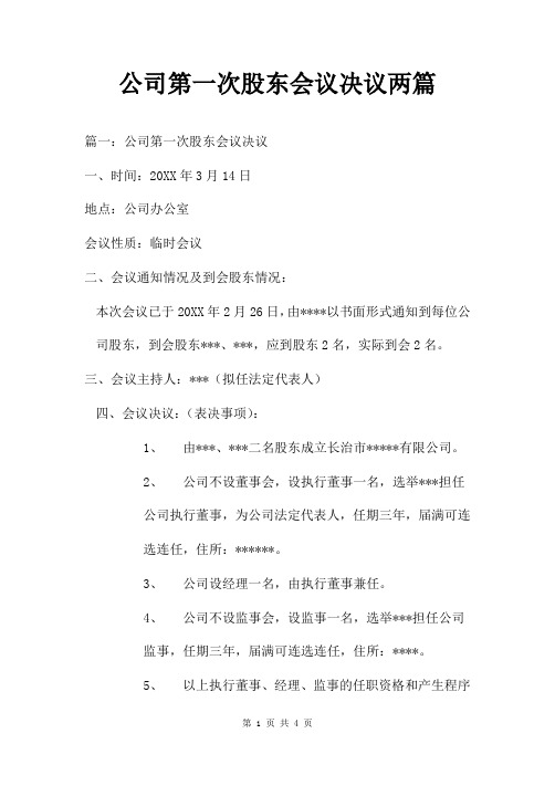 公司第一次股东会议决议两篇