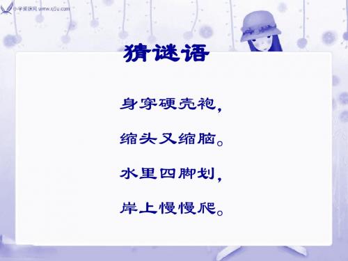 北师大版一年级语文下册《想飞的乌龟》PPT课件1.ppt222