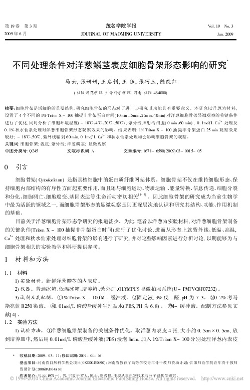 不同处理条件对洋葱鳞茎表皮细胞骨架形态影响的研究