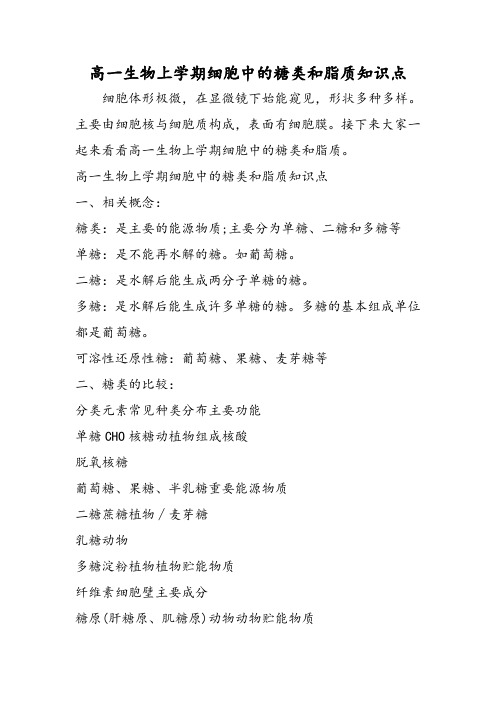 高一生物上学期细胞中的糖类和脂质知识点