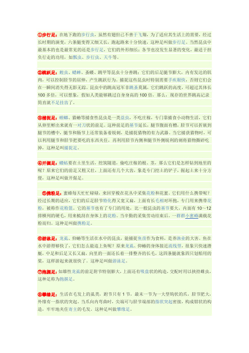 昆虫触角、足、翅的类型及代表