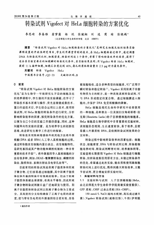 转染试剂 vigofect对 hela细胞转染的方案优化