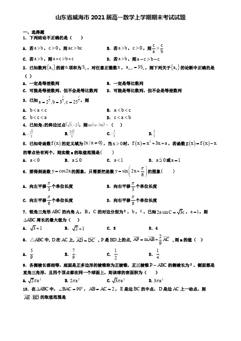 山东省威海市2021届高一数学上学期期末考试试题