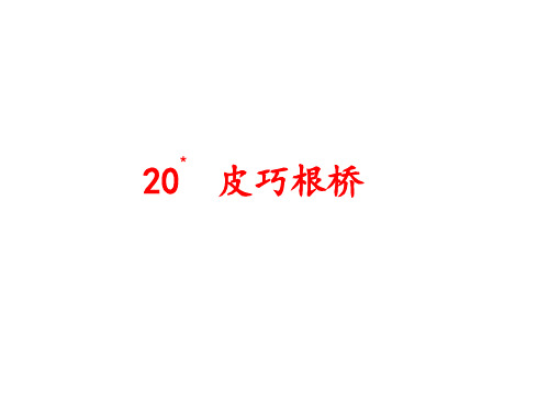 四年级上语文课件-第五单元 20 皮巧根桥 语文S版(共12张PPT)