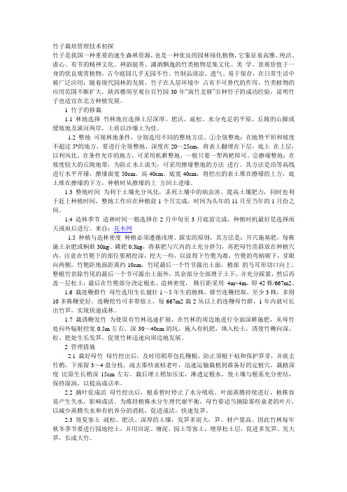 竹子栽培管理技术初探