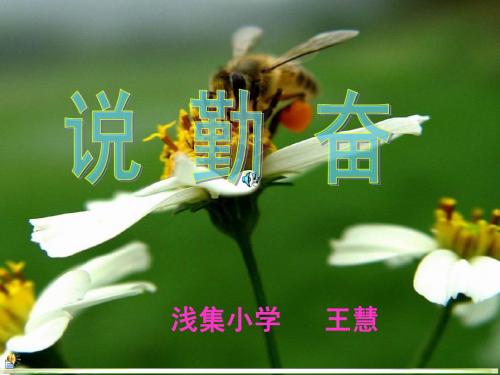 说勤奋第二课时ppt
