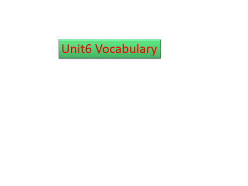 英语复习资料_Unit6 Vocabulary