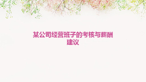 某公司经营班子的考核与薪酬建议