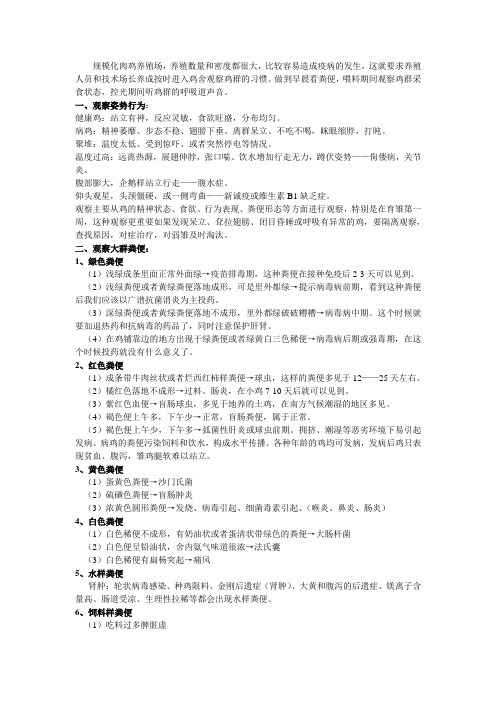 怎样观察鸡是否健康？