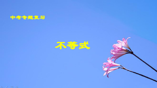 2021年九年级中考专题复习：不等式    课件
