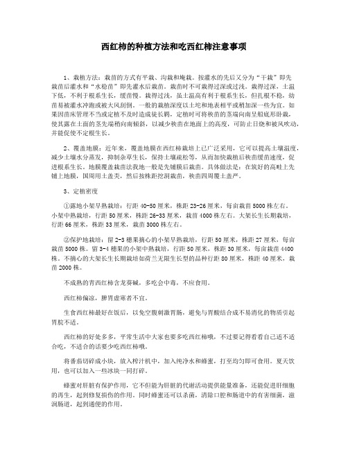 西红柿的种植方法和吃西红柿注意事项