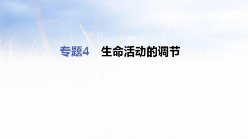 2019年浙江省杭州市中考科学二轮复习专题课件(生物部分)：专题4 生命活动的调节 (共39张PPT)