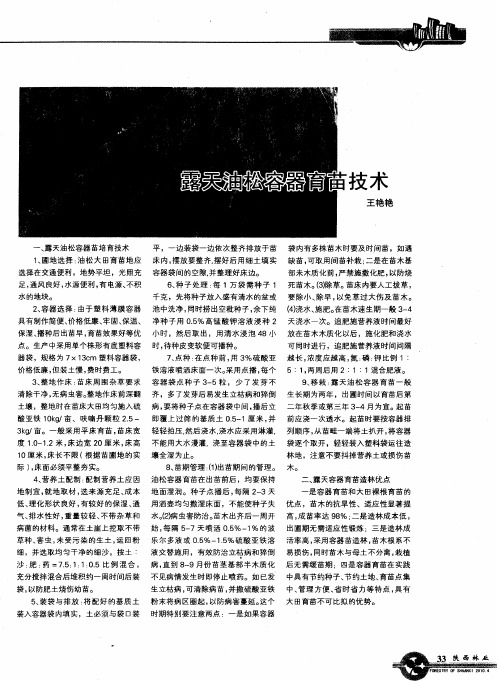 露天油松容器育苗技术