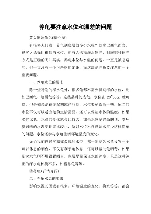 养龟要注意水位和温差的问题