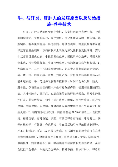 牛、马肝炎、肝肿大的发病原因以及防治措施 - 养牛技术