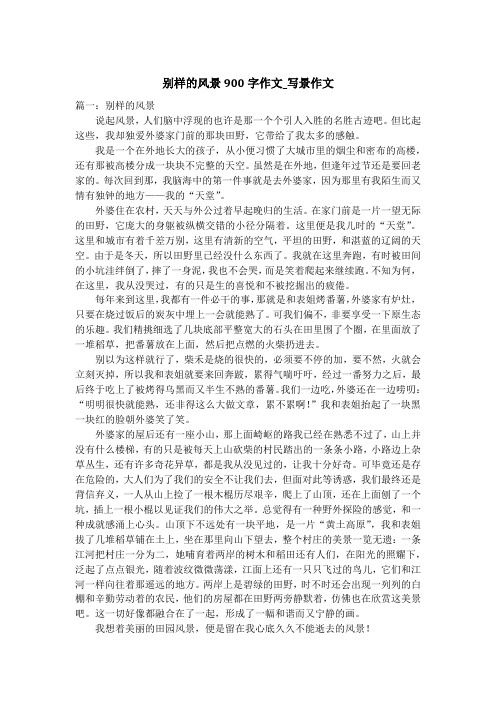 别样的风景900字作文_写景作文