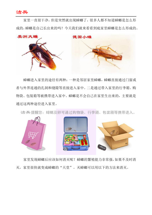 家里蟑螂是怎么形成的