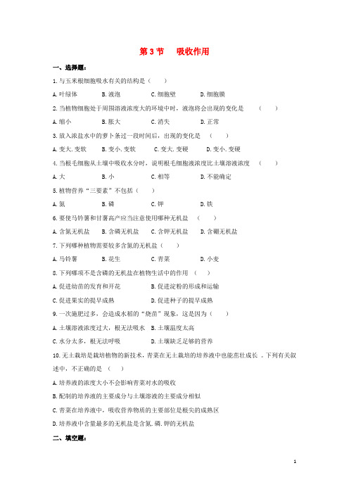 七年级生物上册 5.3 吸收作用同步练习 北师大版