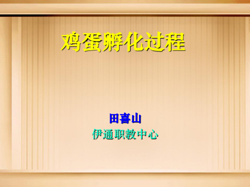 鸡蛋孵化过程的
