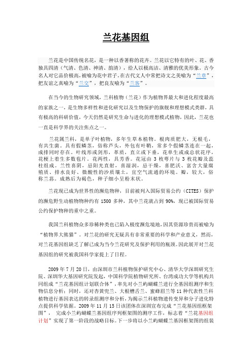 兰花基因组