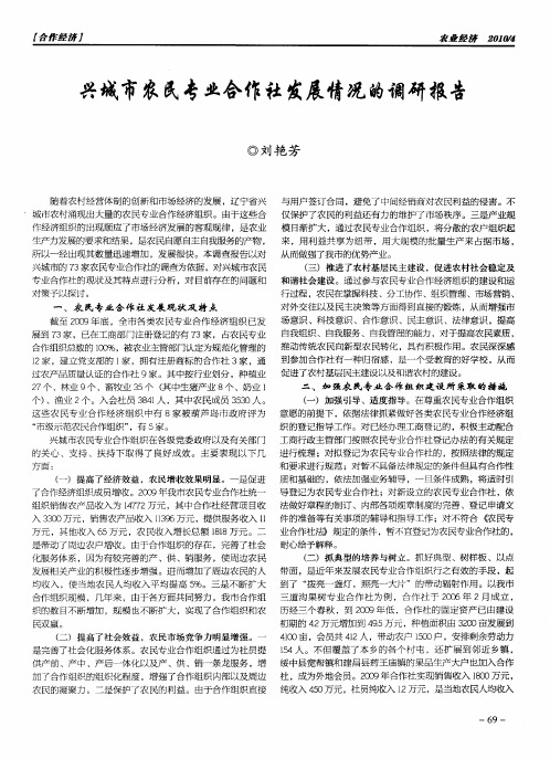 兴城市农民专业合作社发展情况的调研报告