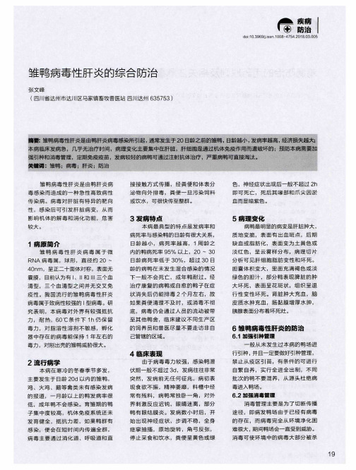 雏鸭病毒性肝炎的综合防治