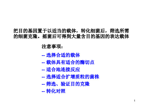 构建表达载体的实验流程及其注意事项